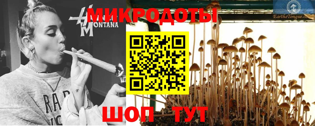 Псилоцибиновые грибы MAGIC MUSHROOMS Волжский
