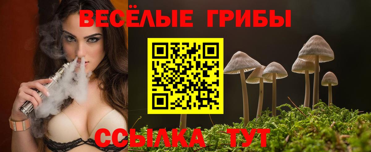 Псилоцибиновые грибы Psilocybine cubensis  Вход с VPN  закладка  Волжский 